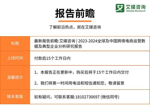 2023-2024年全球及中國跨境電商運營數(shù)據(jù)與典型企業(yè)分析報告