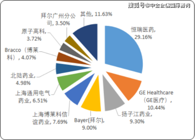 2020年中國糖尿病治療藥物市場專項調(diào)研分析及重點企業(yè)競爭分析